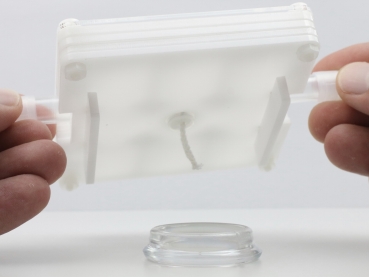 Preview: ANTCUBE - PF 10 M – Lab